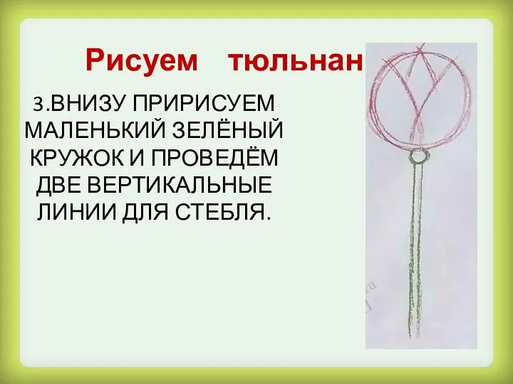 3.ВНИЗУ ПРИРИСУЕМ МАЛЕНЬКИЙ ЗЕЛЁНЫЙ КРУЖОК И ПРОВЕДЁМ ДВЕ ВЕРТИКАЛЬНЫЕ ЛИНИИ ДЛЯ СТЕБЛЯ. Рисуем тюльнан