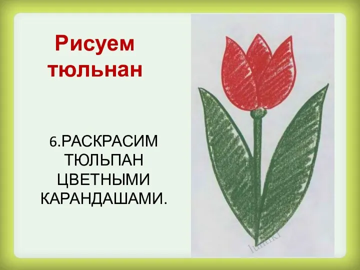 6.РАСКРАСИМ ТЮЛЬПАН ЦВЕТНЫМИ КАРАНДАШАМИ. Рисуем тюльнан