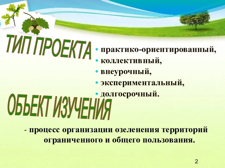 практико-ориентированный, коллективный, внеурочный, экспериментальный, долгосрочный. ТИП ПРОЕКТА - процесс организации