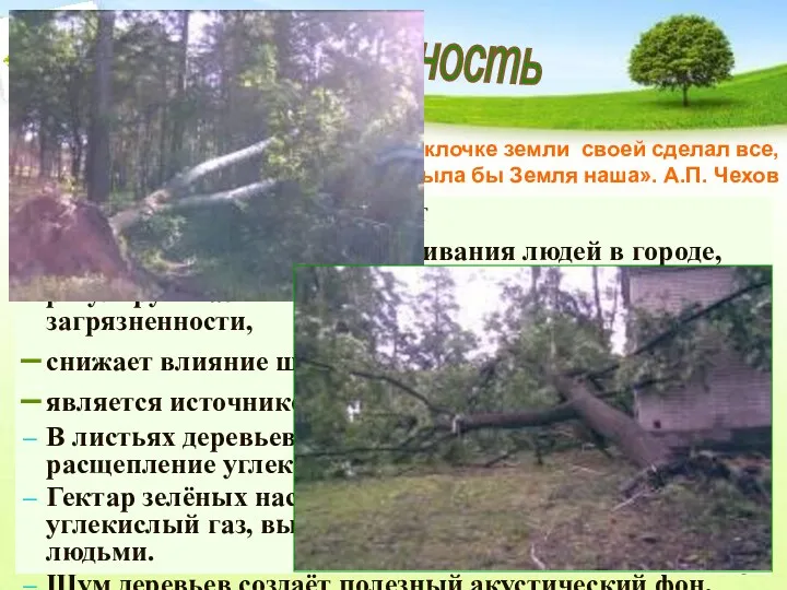 Актуальность «Если бы каждый человек на клочке земли своей сделал все, что он