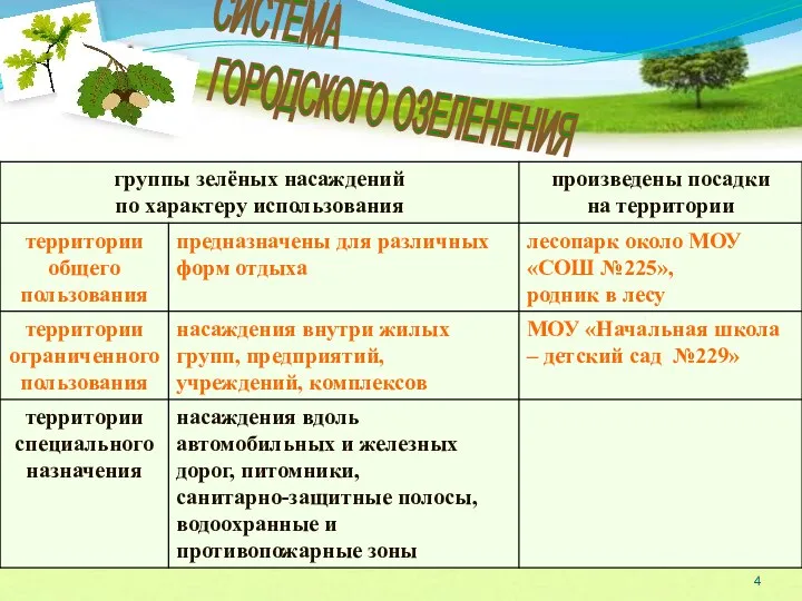 СИСТЕМА ГОРОДСКОГО ОЗЕЛЕНЕНИЯ