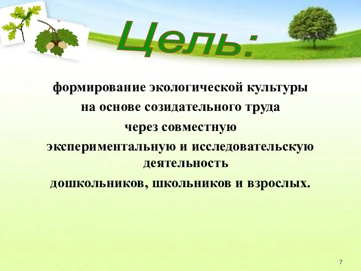 формирование экологической культуры на основе созидательного труда через совместную экспериментальную