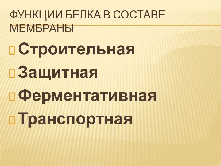 Функции белка в составе мембраны Строительная Защитная Ферментативная Транспортная