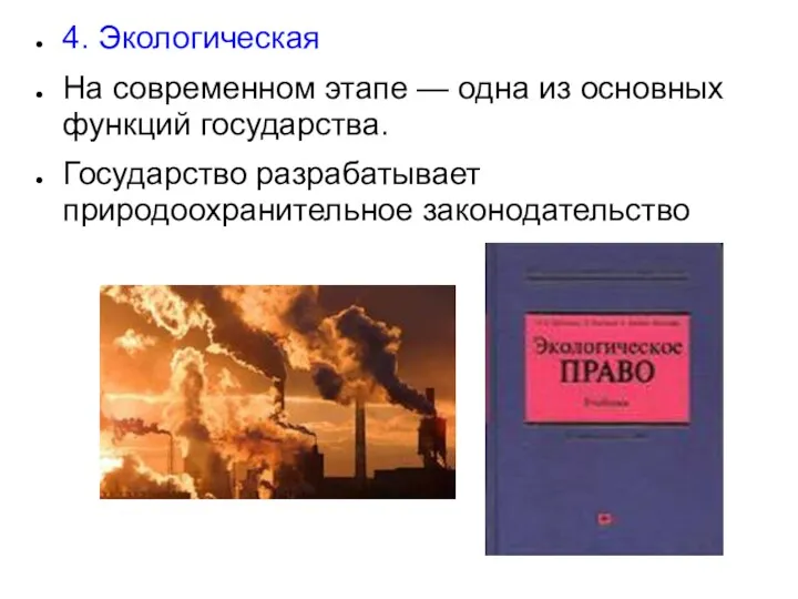 4. Экологическая На современном этапе — одна из основных функций государства. Государство разрабатывает природоохранительное законодательство