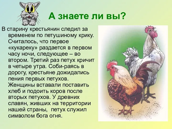 А знаете ли вы? В старину крестьянин следил за временем по петушиному крику.