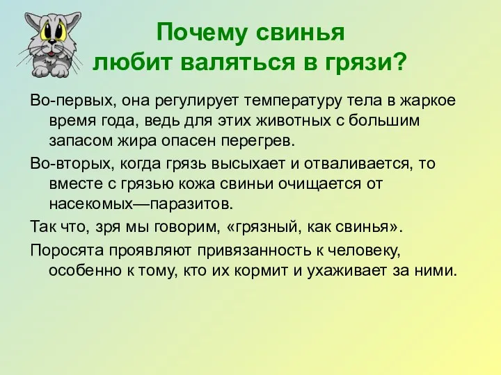 Почему свинья любит валяться в грязи? Во-первых, она регулирует температуру тела в жаркое