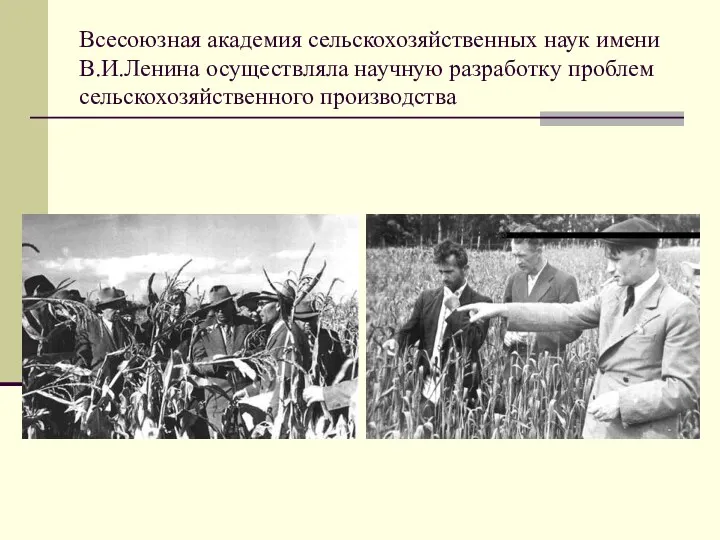 Всесоюзная академия сельскохозяйственных наук имени В.И.Ленина осуществляла научную разработку проблем сельскохозяйственного производства