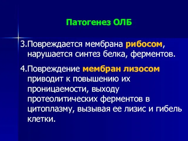 3.Повреждается мембрана рибосом, нарушается синтез белка, ферментов. 4.Повреждение мембран лизосом