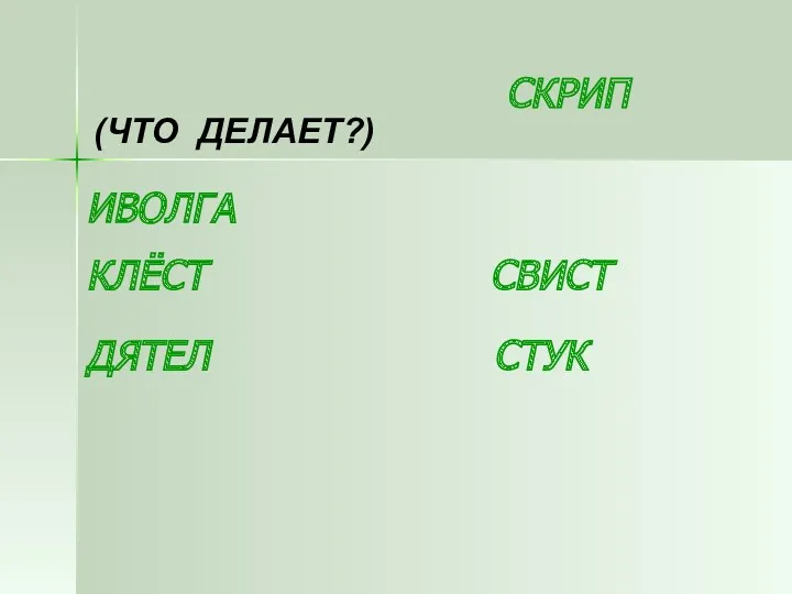 СКРИП ИВОЛГА КЛЁСТ СВИСТ ДЯТЕЛ СТУК (ЧТО ДЕЛАЕТ?)