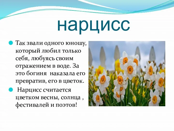 нарцисс Так звали одного юношу, который любил только себя, любуясь