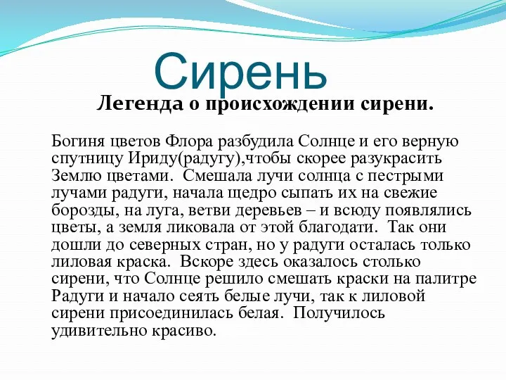 Сирень Легенда о происхождении сирени. Богиня цветов Флора разбудила Солнце