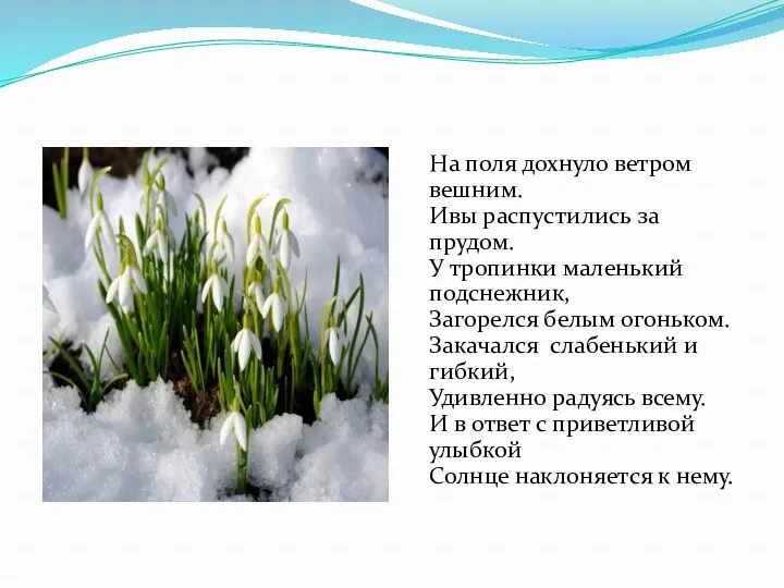 На поля дохнуло ветром вешним. Ивы распустились за прудом. У