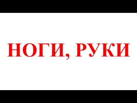 НОГИ, РУКИ