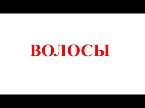 ВОЛОСЫ