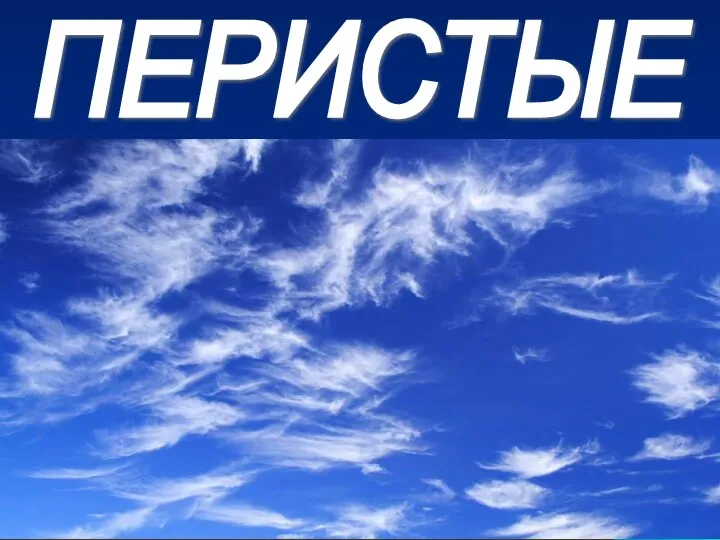 ПЕРИСТЫЕ