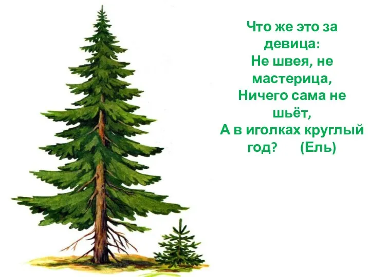 Что же это за девица: Не швея, не мастерица, Ничего