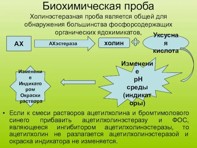 Биохимическая проба Холинэстеразная проба является общей для обнаружения большинства фосфорсодержащих