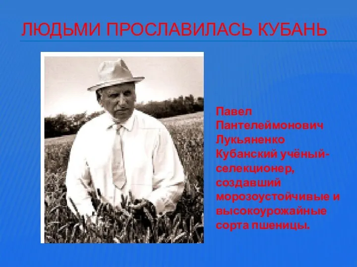 Павел Пантелеймонович Лукьяненко Кубанский учёный-селекционер, создавший морозоустойчивые и высокоурожайные сорта пшеницы. Людьми прославилась Кубань