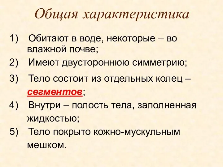 Общая характеристика Обитают в воде, некоторые – во влажной почве;