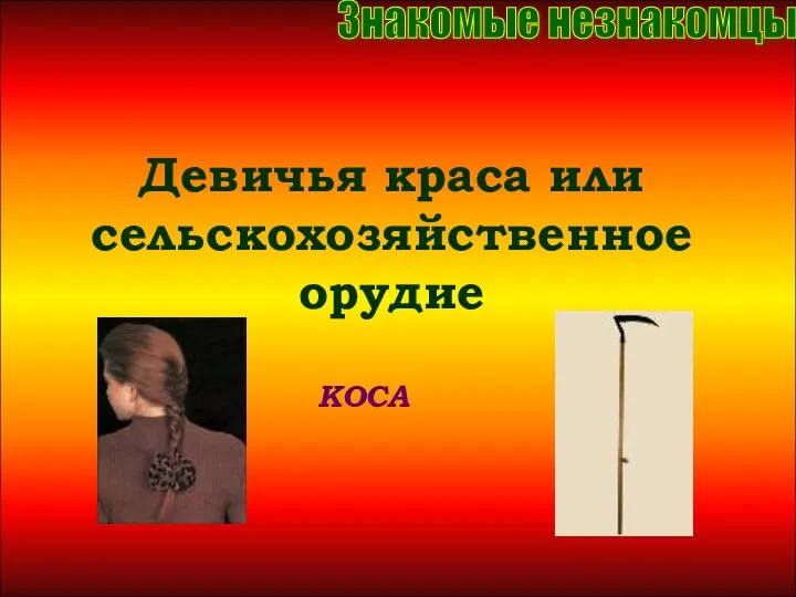 Девичья краса или сельскохозяйственное орудие Девичья краса или сельскохозяйственное орудие КОСА Знакомые незнакомцы