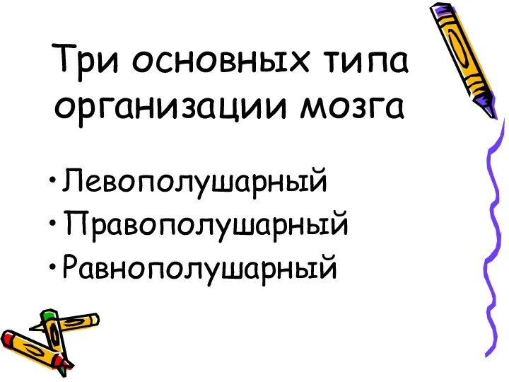 Три основных типа организации мозга Левополушарный Правополушарный Равнополушарный