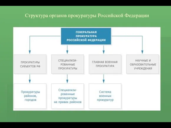 Структура органов прокуратуры Российской Федерации