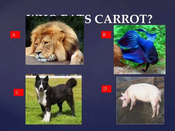 WHO EATS CARROT? A B C D