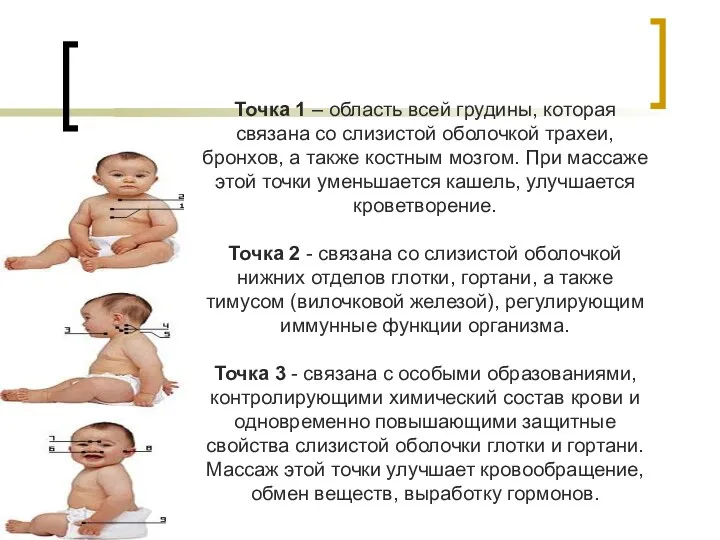 Точка 1 – область всей грудины, которая связана со слизистой оболочкой трахеи, бронхов,