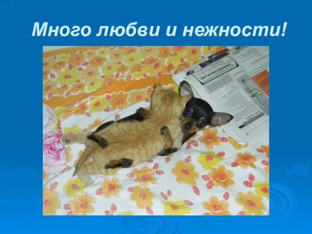 Много любви и нежности!