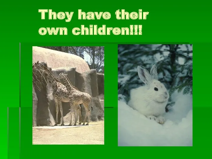 They have their own children!!!