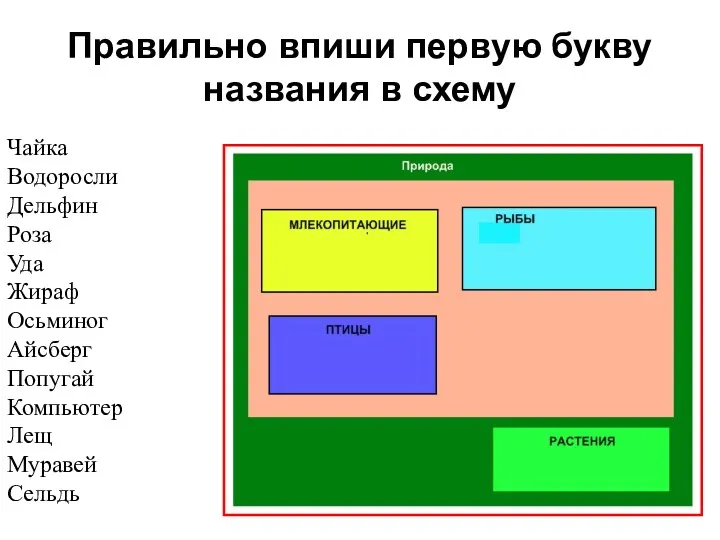 Правильно впиши первую букву названия в схему Чайка Водоросли Дельфин