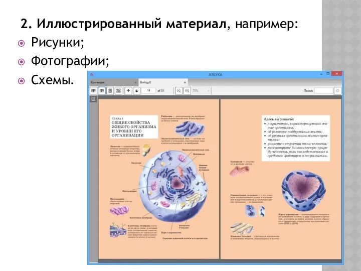 2. Иллюстрированный материал, например: Рисунки; Фотографии; Схемы.