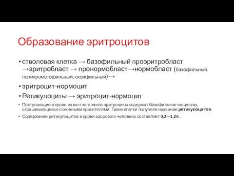 Образование эритроцитов стволовая клетка → базофильный проэритробласт →эритробласт → пронормобласт→нормобласт