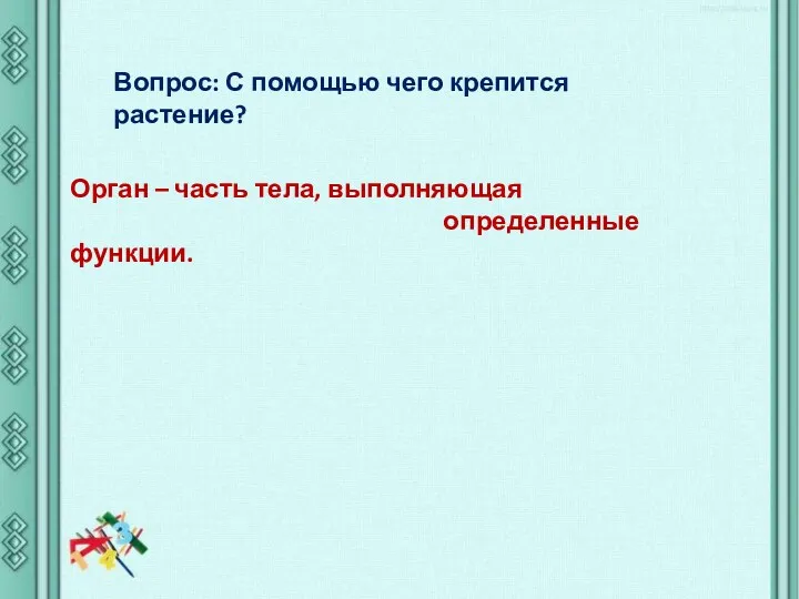 Орган – часть тела, выполняющая определенные функции. Вопрос: С помощью чего крепится растение?