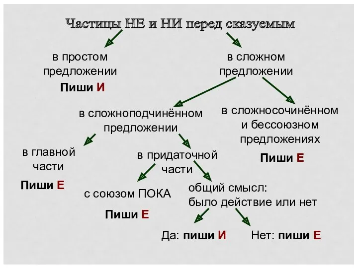 Частицы НЕ и НИ перед сказуемым в простом предложении в сложном предложении Пиши