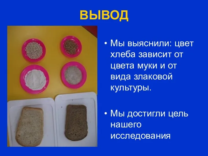 ВЫВОД Мы выяснили: цвет хлеба зависит от цвета муки и от вида злаковой