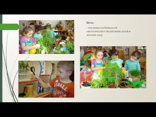 Цель: - изучение особенностей экологического воспитания детей в детском саду.
