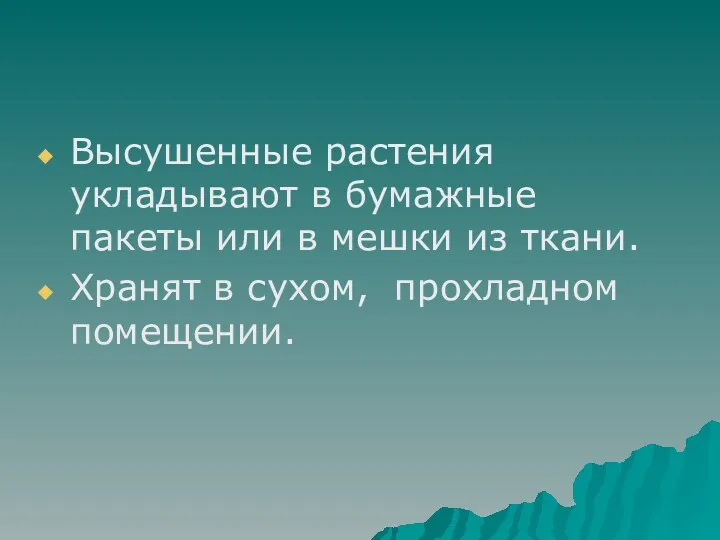 Высушенные растения укладывают в бумажные пакеты или в мешки из ткани. Хранят в сухом, прохладном помещении.