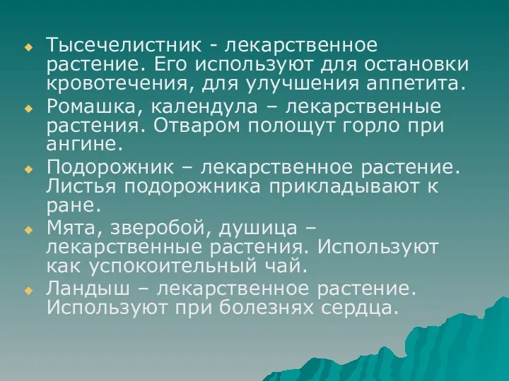 Тысечелистник - лекарственное растение. Его используют для остановки кровотечения, для