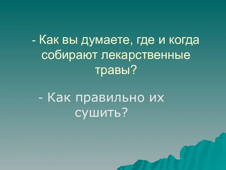 - Как вы думаете, где и когда собирают лекарственные травы? - Как правильно их сушить?