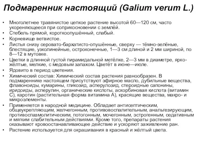 Подмаренник настоящий (Galium verum L.) Многолетнее травянистое цепкое растение высотой