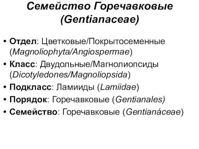 Семейство Горечавковые (Gentianaceae) Отдел: Цветковые/Покрытосеменные (Magnoliophyta/Angiospermae) Класс: Двудольные/Магнолиопсиды (Dicotyledones/Magnoliopsida) Подкласс: