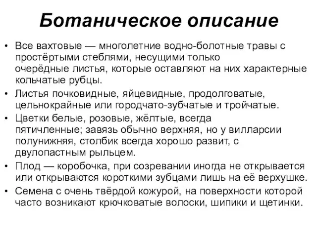 Ботаническое описание Все вахтовые — многолетние водно-болотные травы с простёртыми