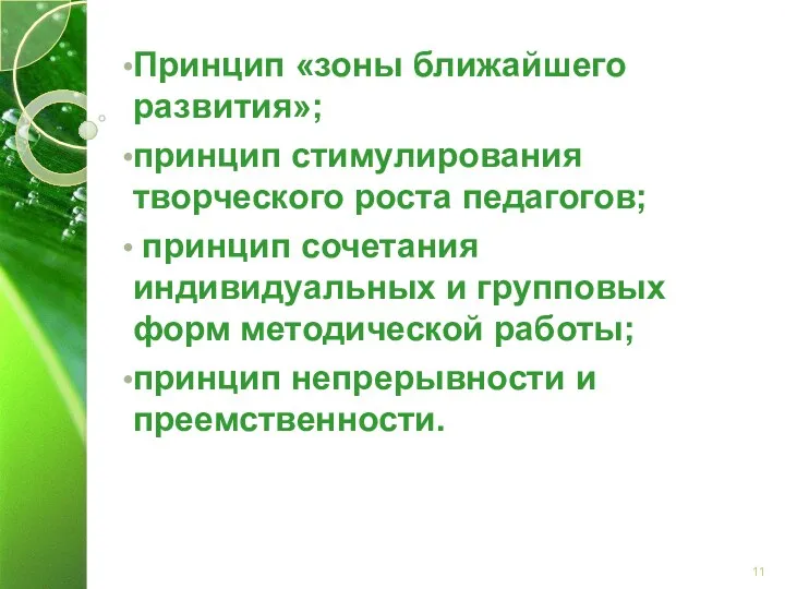 Принцип «зоны ближайшего развития»; принцип стимулирования творческого роста педагогов; принцип