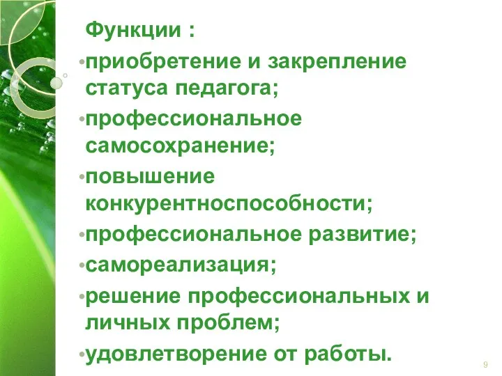 Функции : приобретение и закрепление статуса педагога; профессиональное самосохранение; повышение