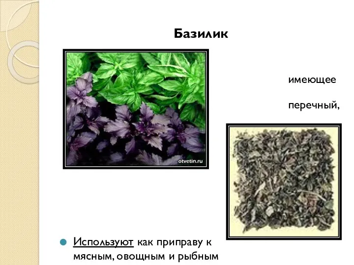 Базилик Травянистое растение, имеющее приятный перечный, мятный или лимонный аромат.