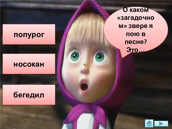 О каком «загадочном» звере я пою в песне? Это… попурог носокан бегедил