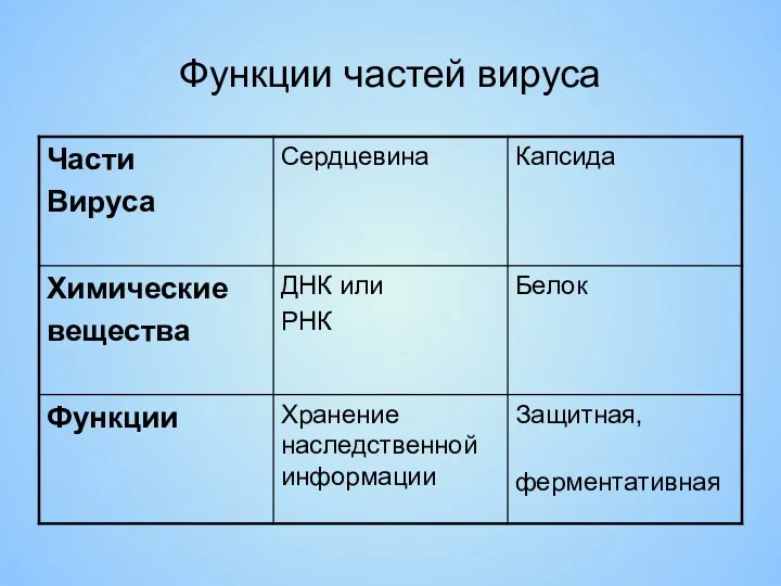 Функции частей вируса