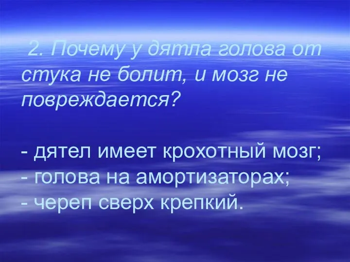 2. Почему у дятла голова от стука не болит, и мозг не повреждается?