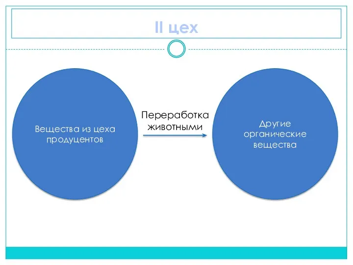 II цех Вещества из цеха продуцентов Другие органические вещества Переработка животными